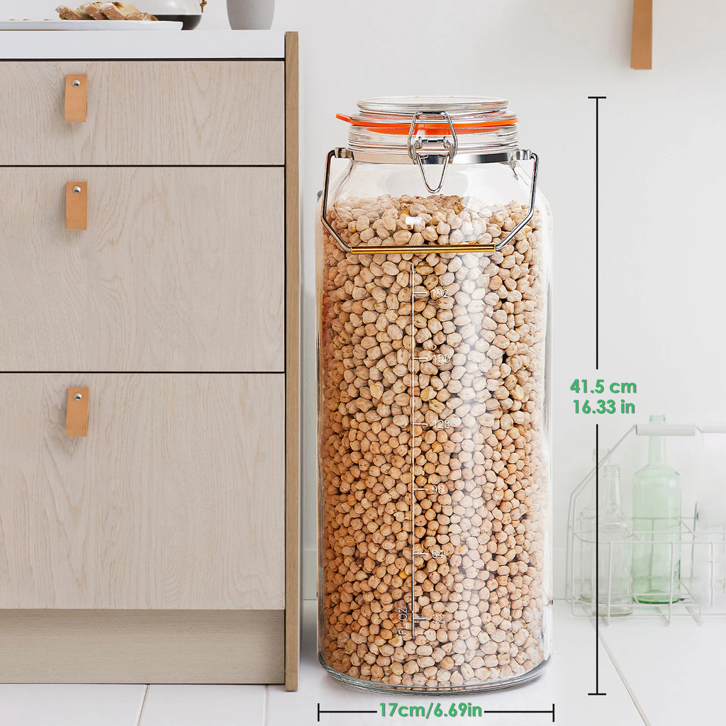 Qianfenie 2 Gallon Glass Jars with Airtight Lid, Wide Mouth with Handle