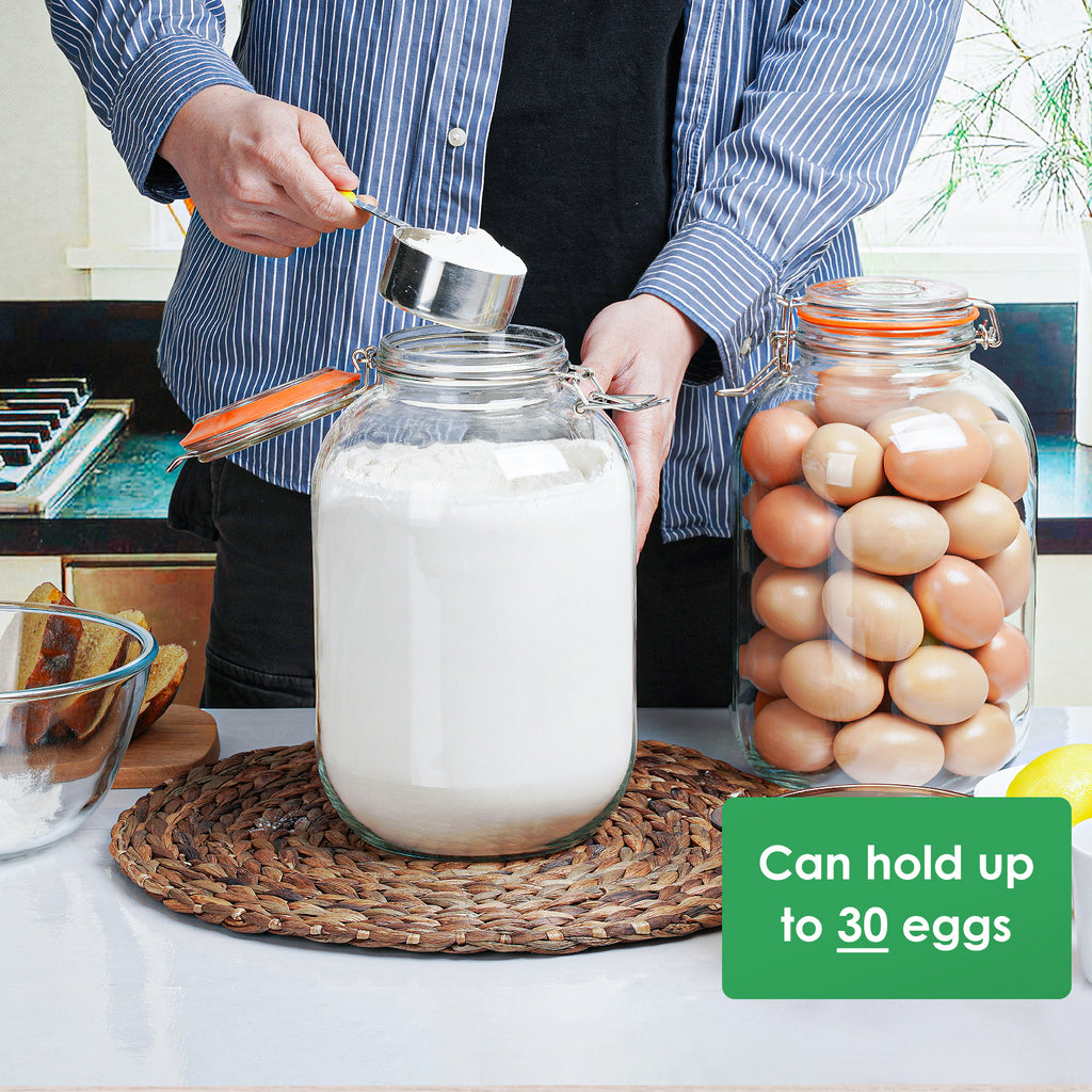 2 Pcs 1 Gallon Round Mouth Glass Jars with Airtight Hinged Lids